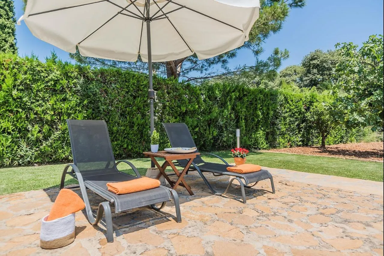 Holiday home Villa La Palmera By Sunvillas Mallorca Pollenca