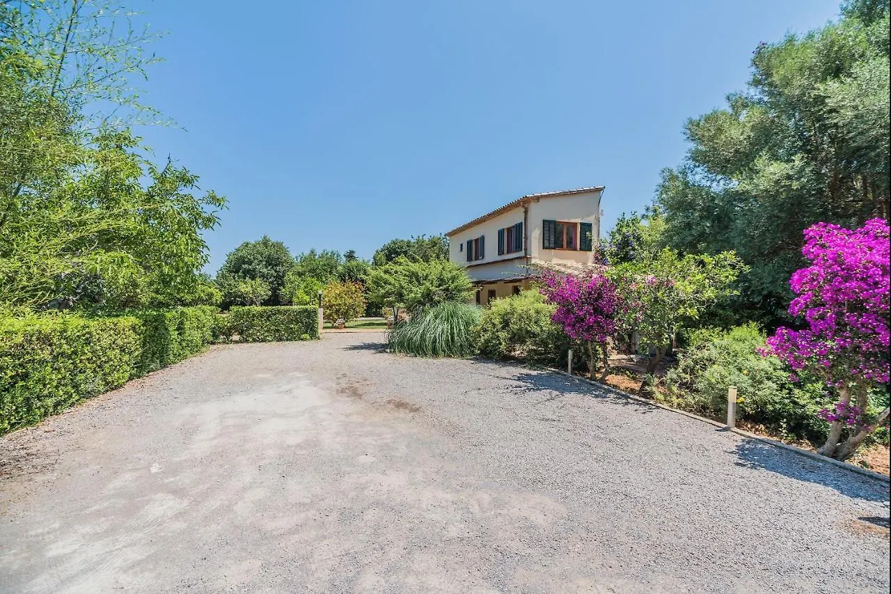 Villa La Palmera By Sunvillas Mallorca Pollença